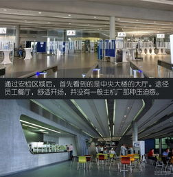 打破常规带你参观莱比锡宝马i8生产线