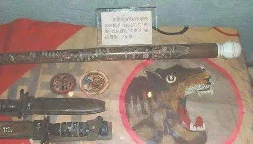 金城战役 金刚川 背后的真实历史